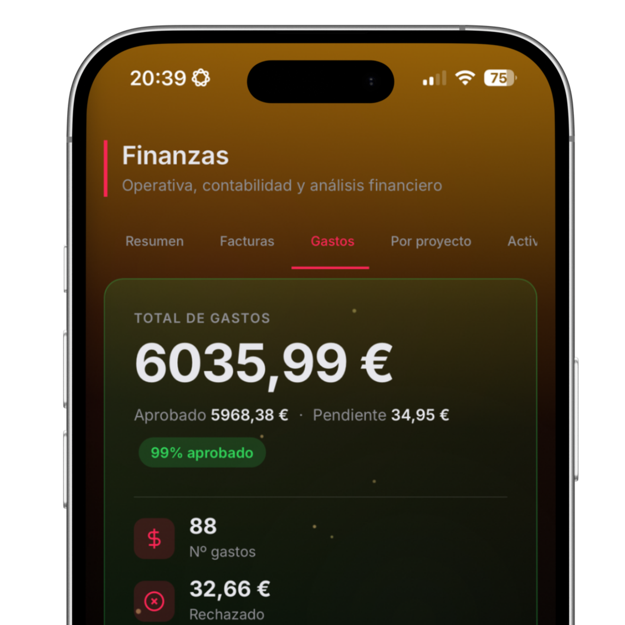 Gastos en Projekt
